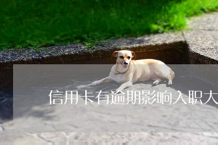 信用卡有逾期影响入职大企业吗 信用卡有逾期影响入职大企业吗