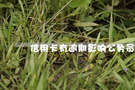 信用卡有逾期影响公务员录吗 信用卡有逾期影响公务员录吗