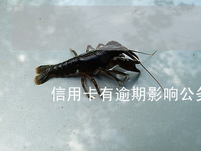 信用卡有逾期影响公务员政审吗 信用卡有逾期影响公务员政审吗