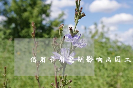 信用卡有逾期影响出国工作吗 信用卡有逾期影响出国工作吗