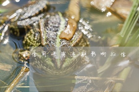 信用卡有逾期影响征信 信用卡有逾期影响征信