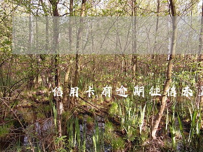 信用卡有逾期征信未显示 信用卡有逾期征信未显示