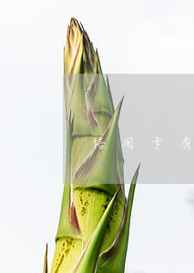 信用卡有逾期微粒贷可以贷出来 信用卡有逾期微粒贷可以贷出来