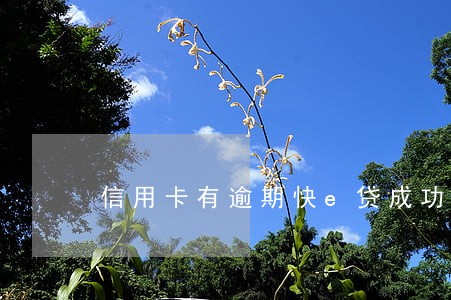 信用卡有逾期快e贷成功了 信用卡有逾期快e贷成功了