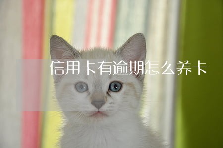 信用卡有逾期怎么养卡 信用卡有逾期怎么养卡