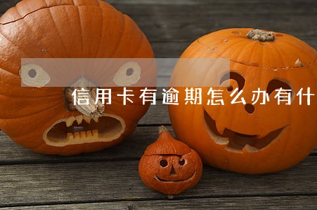 信用卡有逾期怎么办有什么影响 信用卡有逾期怎么办有什么影响