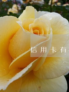 信用卡有逾期怎么办理 信用卡有逾期怎么办理