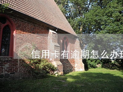 信用卡有逾期怎么办理网贷 信用卡有逾期怎么办理网贷