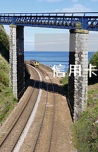 信用卡有逾期怎么去除