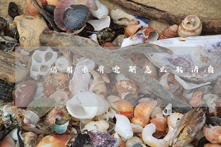 信用卡有逾期怎么取消自动划扣 信用卡有逾期怎么取消自动划扣