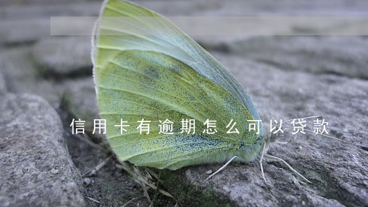信用卡有逾期怎么可以贷款 信用卡有逾期怎么可以贷款