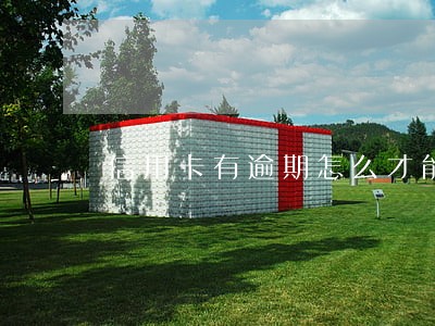 信用卡有逾期怎么才能消除