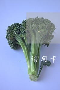 信用卡有逾期怎么打电话 信用卡有逾期怎么打电话