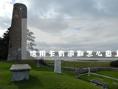 信用卡有逾期怎么查上没上征信 信用卡有逾期怎么查上没上征信