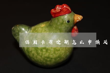 信用卡有逾期怎么申请延期 信用卡有逾期怎么申请延期