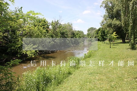 信用卡有逾期怎样才能网贷 信用卡有逾期怎样才能网贷