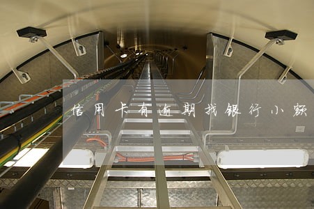 信用卡有逾期找银行小额贷款
