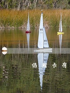 信用卡有逾期换完可以立马销卡吗