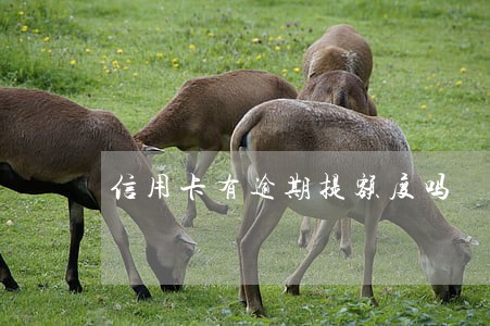信用卡有逾期提额度吗