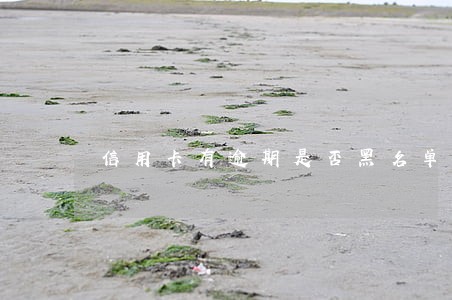 信用卡有逾期是否黑名单 信用卡有逾期是否黑名单