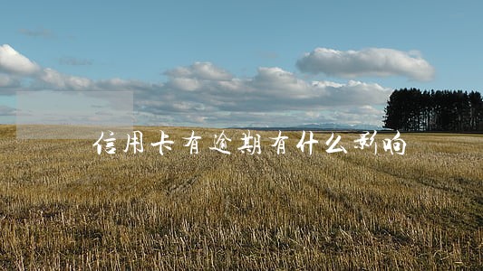 信用卡有逾期有什么影响