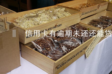 信用卡有逾期未还还能贷款吗