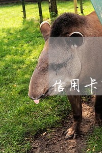 信用卡有逾期机会么