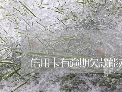 信用卡有逾期欠款能办签证吗