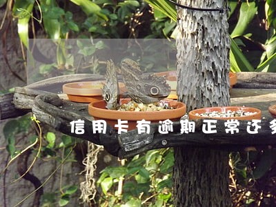 信用卡有逾期正常还多久能恢复 信用卡有逾期正常还多久能恢复