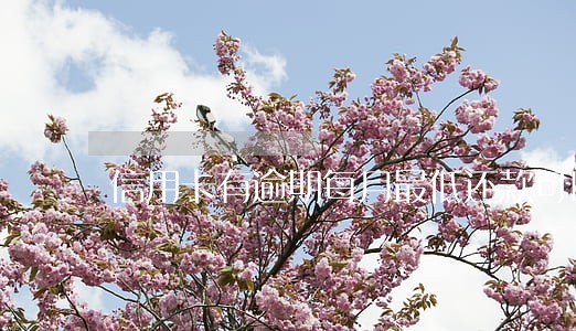 信用卡有逾期每月最低还款可以吗