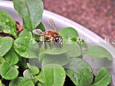 信用卡有逾期没有超过90天