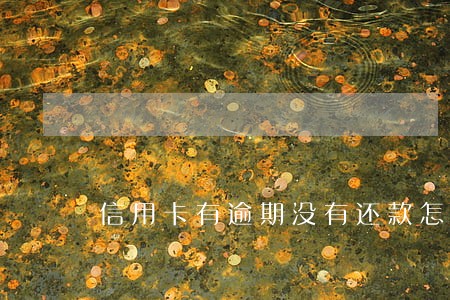信用卡有逾期没有还款怎么办 信用卡有逾期没有还款怎么办