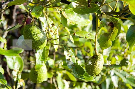 信用卡有逾期没欠款能办卡吗 信用卡有逾期没欠款能办卡吗