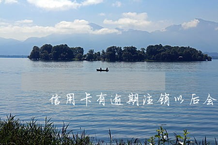 信用卡有逾期注销以后会显示