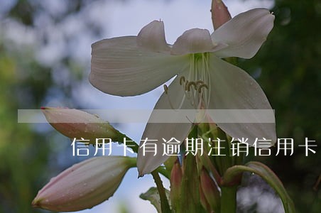 信用卡有逾期注销信用卡 信用卡有逾期注销信用卡