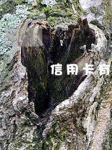 信用卡有逾期注销怎么办