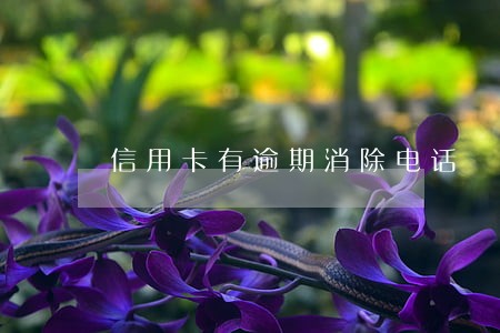 信用卡有逾期消除电话 信用卡有逾期消除电话