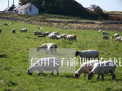 信用卡有逾期现在缺钱怎么办