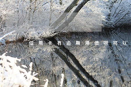 信用卡有逾期用借呗可以覆盖吗 信用卡有逾期用借呗可以覆盖吗