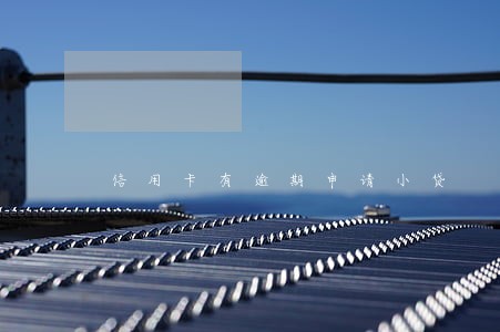 信用卡有逾期申请小贷 信用卡有逾期申请小贷