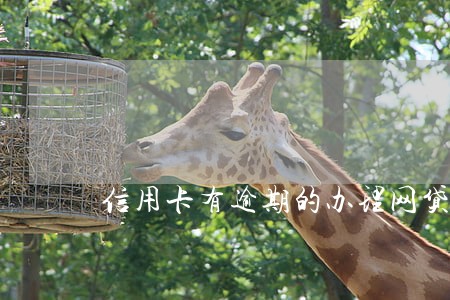 信用卡有逾期的办理网贷 信用卡有逾期的办理网贷