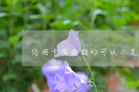 信用卡有逾期的可以办支票吗 信用卡有逾期的可以办支票吗
