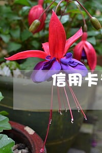 信用卡有逾期真的会去老家上门吗 信用卡有逾期真的会去老家上门吗