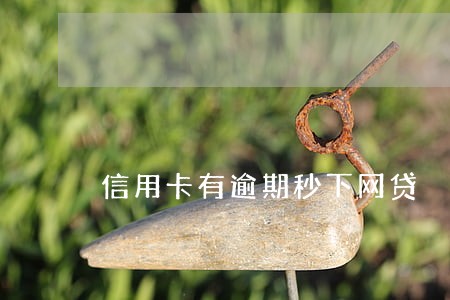 信用卡有逾期秒下网贷