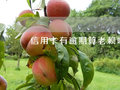 信用卡有逾期算老赖吗 信用卡有逾期算老赖吗