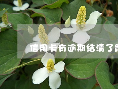 信用卡有逾期结清了能买房吗 信用卡有逾期结清了能买房吗