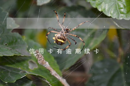 信用卡有逾期续卡 信用卡有逾期续卡