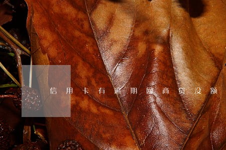 信用卡有逾期网商贷没额度了 信用卡有逾期网商贷没额度了