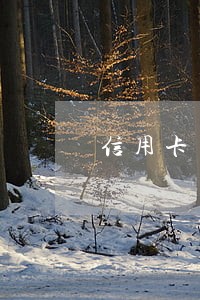 信用卡有逾期耽误买房吗