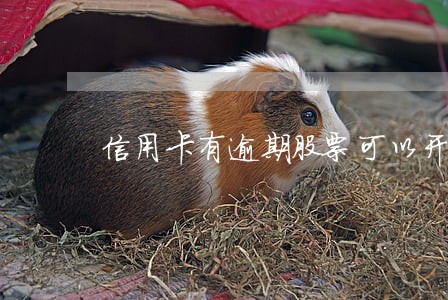 信用卡有逾期股票可以开户吗 信用卡有逾期股票可以开户吗